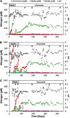 Nutrient-Limited Enrichments of Nitrifiers From Soil Yield Consortia of Nitrosocosmicus-Affiliated AOA and Nitrospira-Affiliated NOB